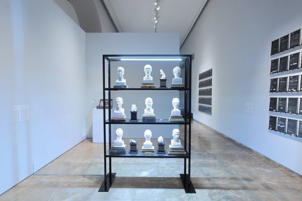 Daniel Gasol, Galería de anomalías patológicas, 2024 - 2025