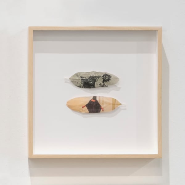 Avelino Sala, Mirror Stage Goya 12, 2018