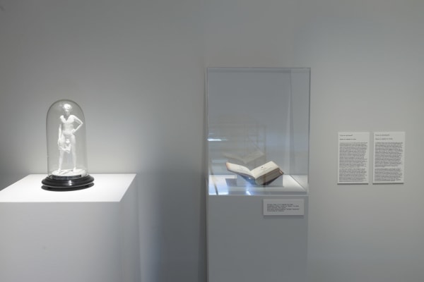 Daniel Gasol, Eugenesia. Vicios de conformación, 2024 - 2025