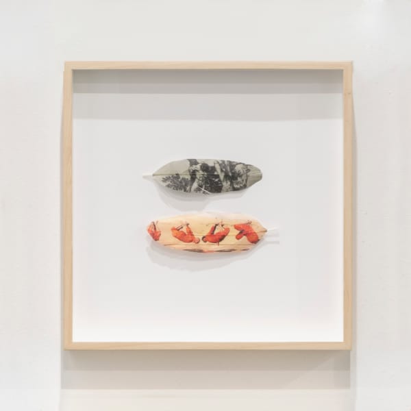 Avelino Sala, Mirror Stage. Goya 11, 2018