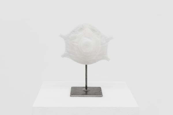Avelino Sala, Virus, 2020/2021