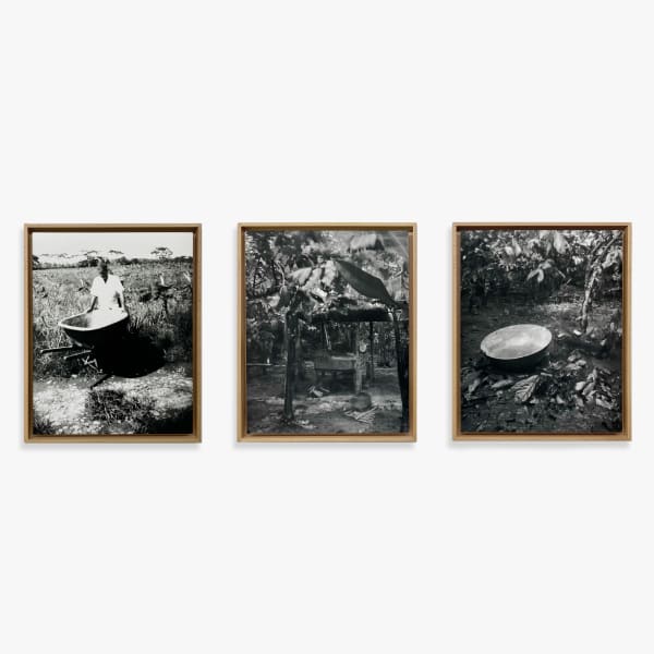 Marcos Ávila-Forero, Estenopeicas de Paisajes Subversivos. Familia Vivas-Cabuyaro, 2015