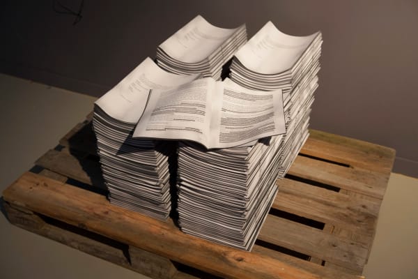 Núria Güell, El Síndrome de Sherwood 2, 2013