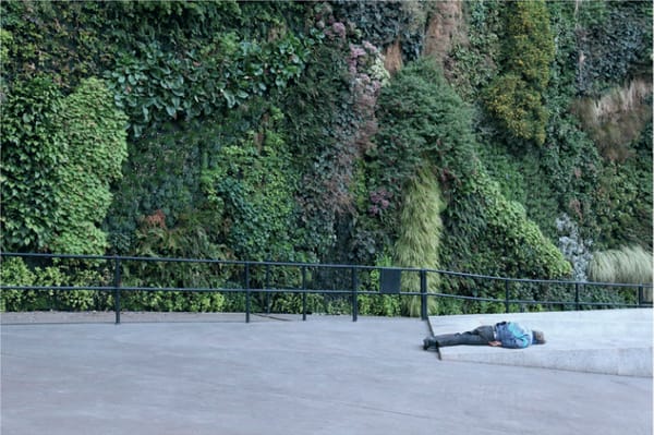 Concha Pérez, Expulsado, 2011