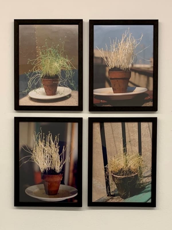 Antonio Ortega, Registre (de seqüeles), 1995