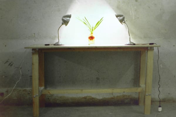 Antonio Ortega, Register (Indoor), 1994-1996