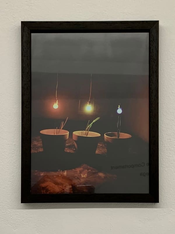 Antonio Ortega, Registre (en interior, RGB), 1995