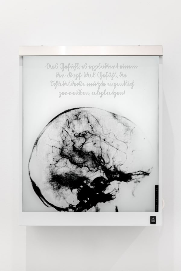 Alán Carrasco, Das Gefühl. In der Strafkolonie [La sensación. En la colonia penitenciaria], 2024