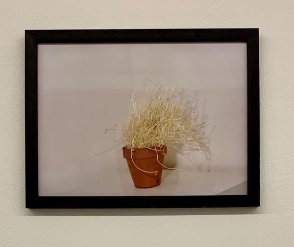 Antonio Ortega, Registre (tota la llum), 1996