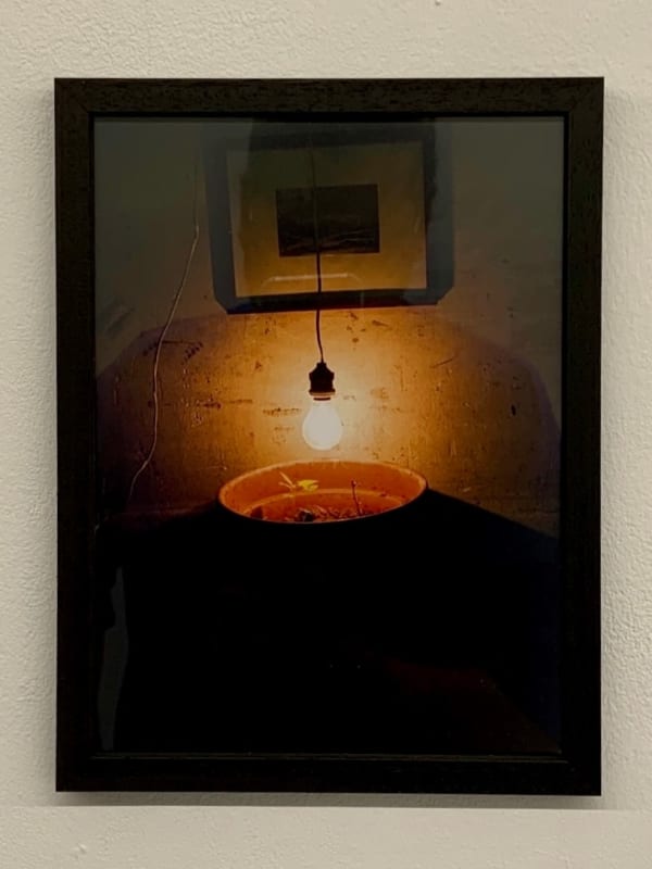 Antonio Ortega, Registre (de la terra del Museu), 1994