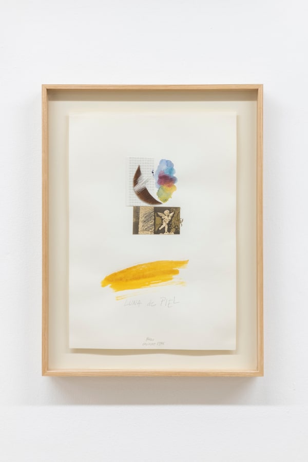 Carlos Pazos, Livre de Brouillon. S/T (Luna de piel), 1986