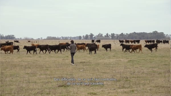 Adrian Melis, Repulsion System for Productive Lands , 2022