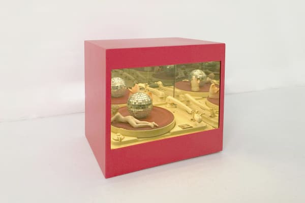 Carlos Pazos, El cerdo y el cisne, 2011