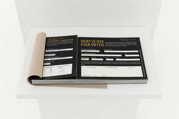 Núria Güell, Servicios Exquisitos, 2023