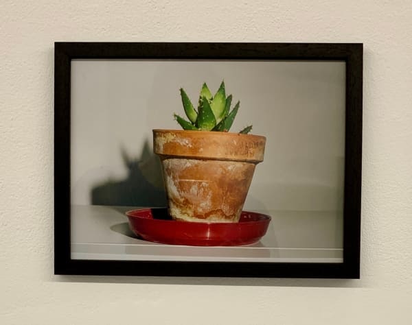 Antonio Ortega, Registre (de sobrealimentació), 1996