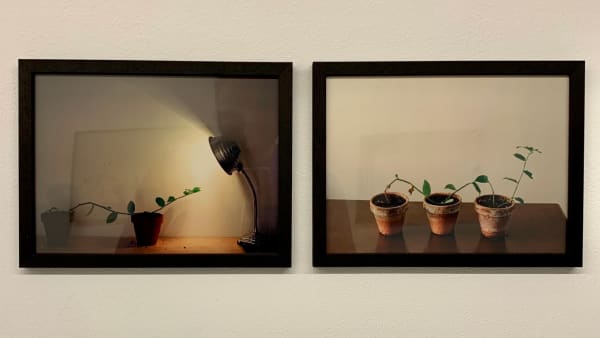 Antonio Ortega, Registre (de continuïtat), 1997