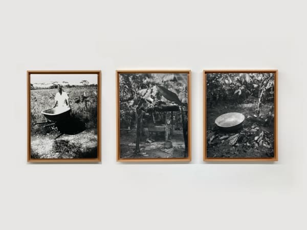 Marcos Ávila-Forero, Estenopeicas de Paisajes Subversivos. Familia Vivas-Cabuyaro, 2015