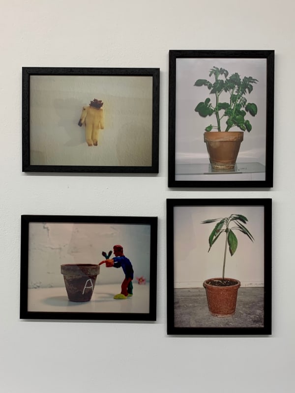 Antonio Ortega, Registre (de transmissió d’energia), 1997-1998