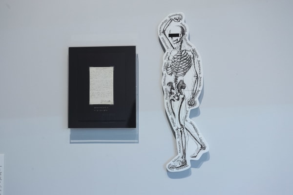 Daniel Gasol, Deontología Higienista, 2024 - 2025