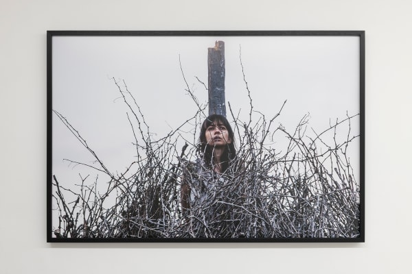 Regina José Galindo, La intención, 2016