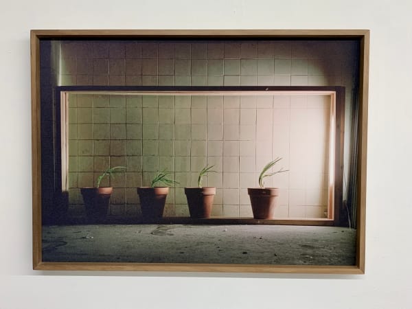 Antonio Ortega, En interior, 1994