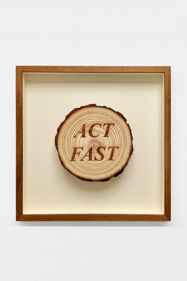 Avelino Sala, Sueño de nadie. Act fast, 2024