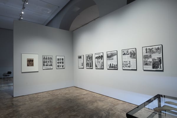 Daniel Gasol, Medidas cautelares, 2024 - 2025