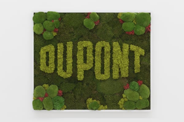 Avelino Sala, Naturas Mortas 2 (DUPONT), 2020