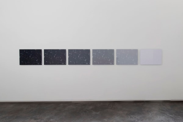mounir fatmi, Black on Black, 2009 -