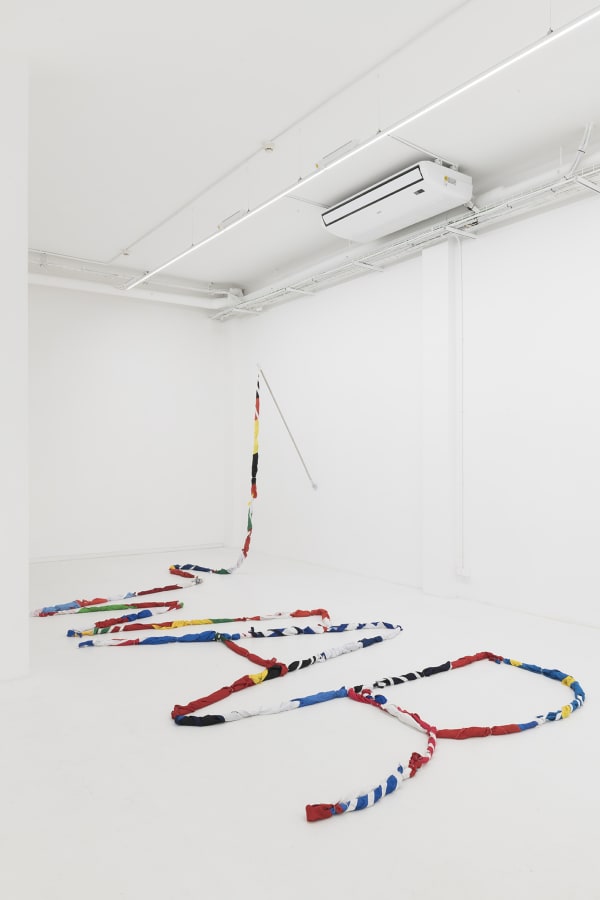 Avelino Sala, Beyond Flags, 2021