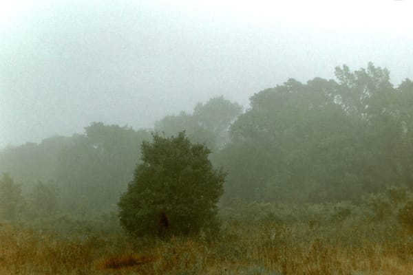 Antonio Ortega, Register (forced adaptation), 1997