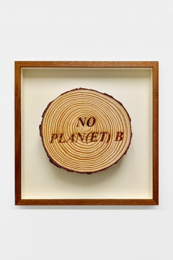 Avelino Sala, Sueño de nadie. No plan(et) B, 2024