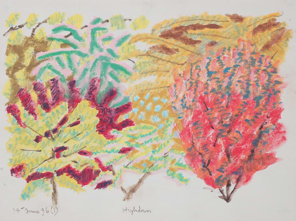 Adrian Berg, Highdown, 14th June (1), 1996