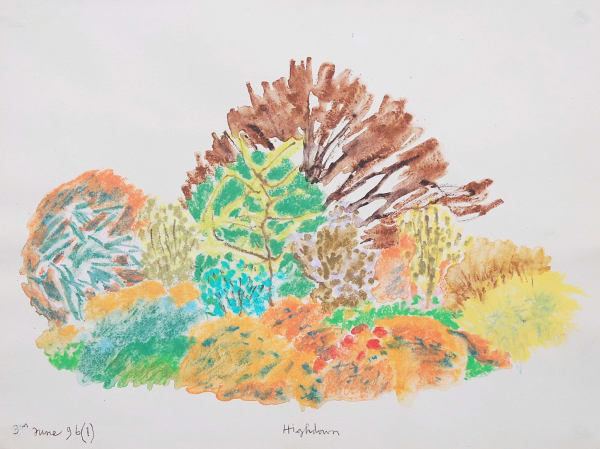 Adrian Berg, Highdown, 3rd June (1), 1996