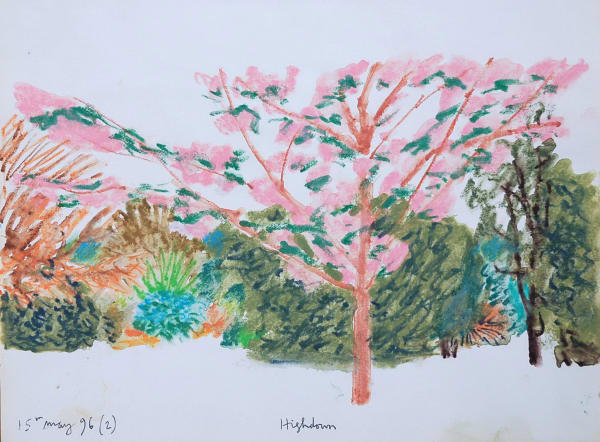 Adrian Berg, Highdown, 15th May (2), 1996