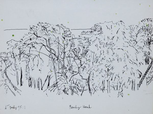 Adrian Berg, Beachy Head, 6th July (1), 1995