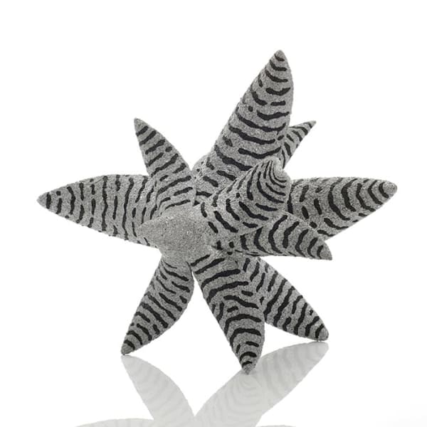 Kazuhiro Toyama, Biophilia; Zebra Aloe, 2023