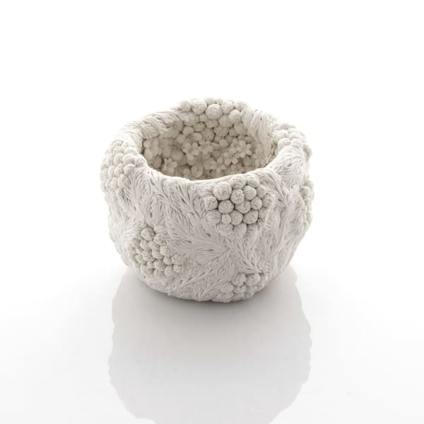 Hitomi Hosono, A Sakura, English Daisy and Leaves Bowl, 2024