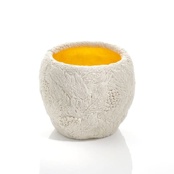 Hitomi Hosono, A Dew Drop Bowl, 2023