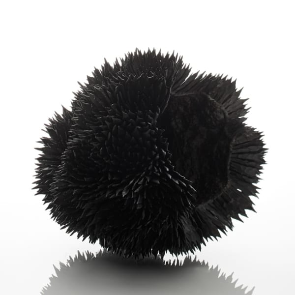 Junko Mori, Propagation Project; Rosularia, 2019