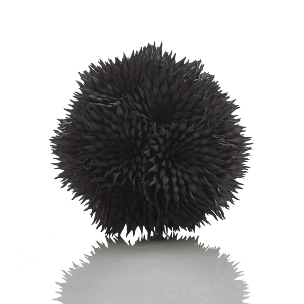 Junko Mori, Propagation Project; Multiple Nigella, 2022