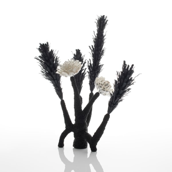 Junko Mori, Botany Series; Horsetail, 2017