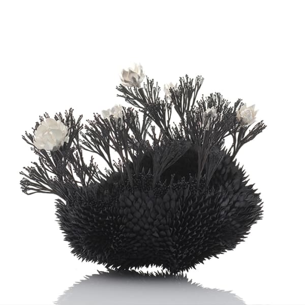 Junko Mori, Botany Succulent, 2020