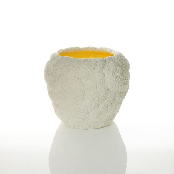 Hitomi Hosono, A Zenmai Bowl, 2017