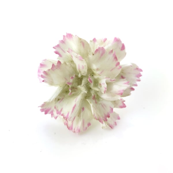 Sèvres Porcelain, A Soft-Paste Vincennes Porcelain Flower, circa 1750