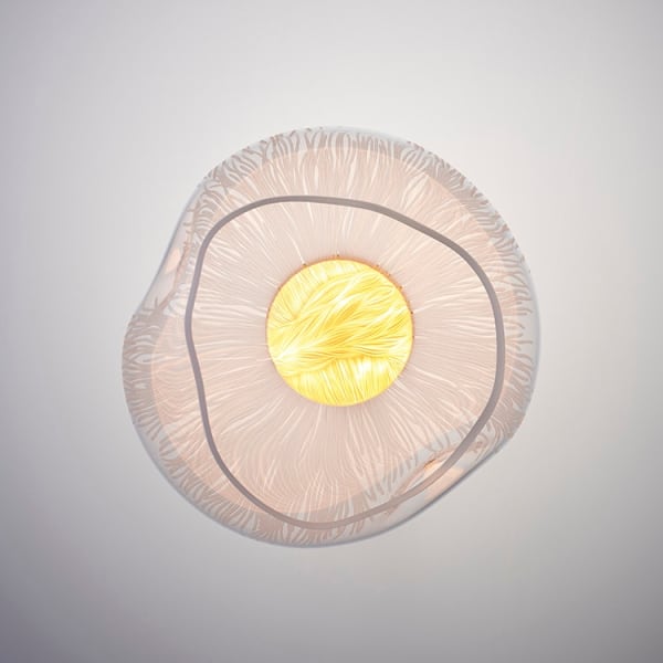 Vezzini and Chen, Hellebore Light, 2022