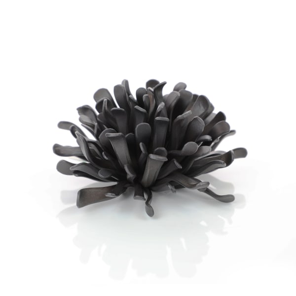 Junko Mori, Cell, 2023