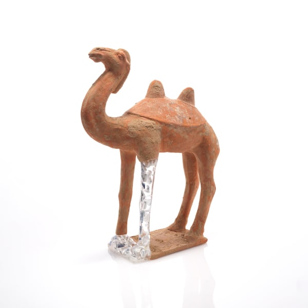 Bouke de Vries, Camel, 2024