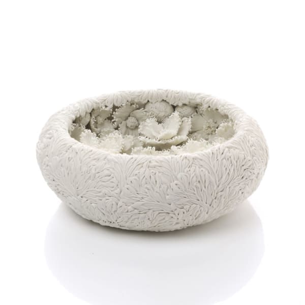 Hitomi Hosono, A Dancing Nadeshiko and Mangrove Pool, 2019