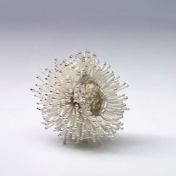 Junko Mori, A Silver Organism; Ball Point, 2014